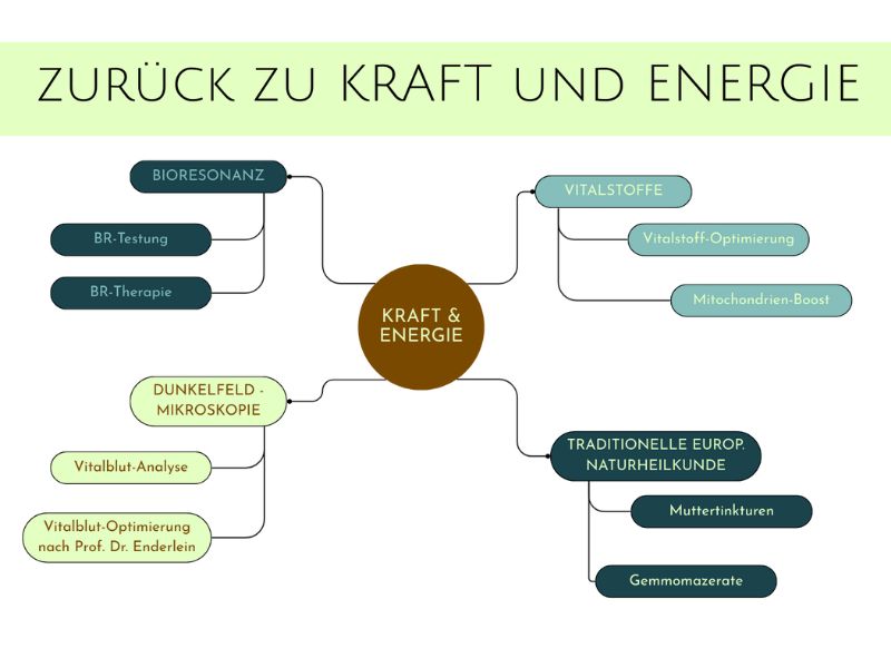 Schematische Darstellung der 4-Säulen-Methode (Bioresonanz, Dunkelfeld, Vitalstoffe, Naturheilkunde), um nachhaltig die Leistungsfähigkeit zu steigern.