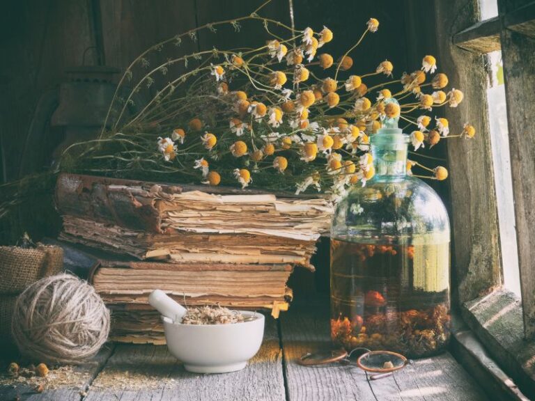 Darstellung der Verbindung von Gehirn und Körperzellen zur Illustration des biologischen Ansatzes der Naturheilkunde bei Burnout.