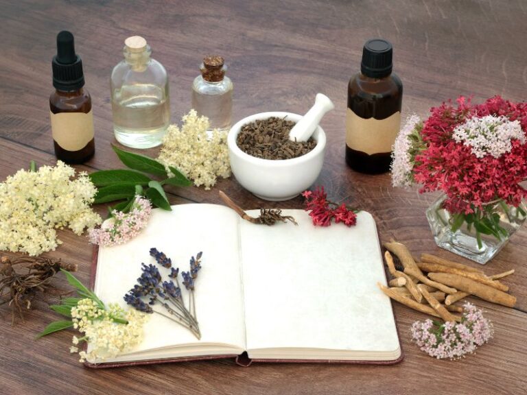 Ein aufgeschlagenes Notizbuch umgeben von frischen Heilpflanzen, Tinkturflaschen und einem Mörser auf einem Holztisch symbolisiert die fundierte biologische Regulation in der Naturheilpraxis Wien.