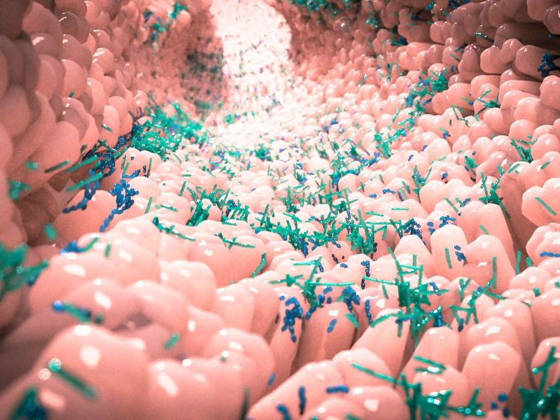 Detaillierte mikroskopische 3D-Visualisierung der menschlichen Darmzotten, dicht besiedelt mit einer gesunden Bakterienflora (Mikrobiom) – das Ziel einer professionellen Darmsanierung.